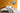 Muurcirkel Bruinisse keuze uit meerdere afbeeldingen