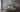 Muurcirkel Schiermonnikoog | keuze uit meerdere afbeeldingen