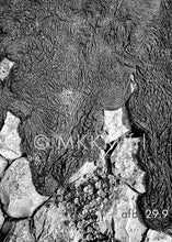 Afbeelding in Gallery-weergave laden, Rondom de Afsluitdijk | keuze uit meerdere afbeeldingen (staand formaat)
