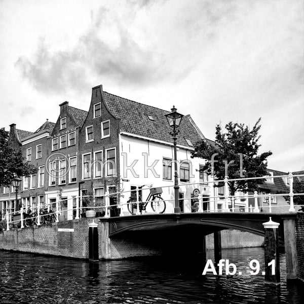 Eetkamerstoel Leiden keuze uit meerdere afbeeldingen