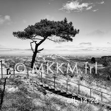 Afbeelding in Gallery-weergave laden, Muurcirkel Terschelling keuze uit meerdere afbeeldingen

