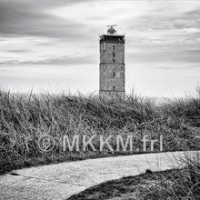 Afbeelding in Gallery-weergave laden, Barstoel Terschelling keuze uit meerdere afbeeldingen zithoogte 76 cm
