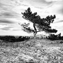 Afbeelding in Gallery-weergave laden, Barstoel Vlieland keuze uit meerdere afbeeldingen zithoogte 65 cm
