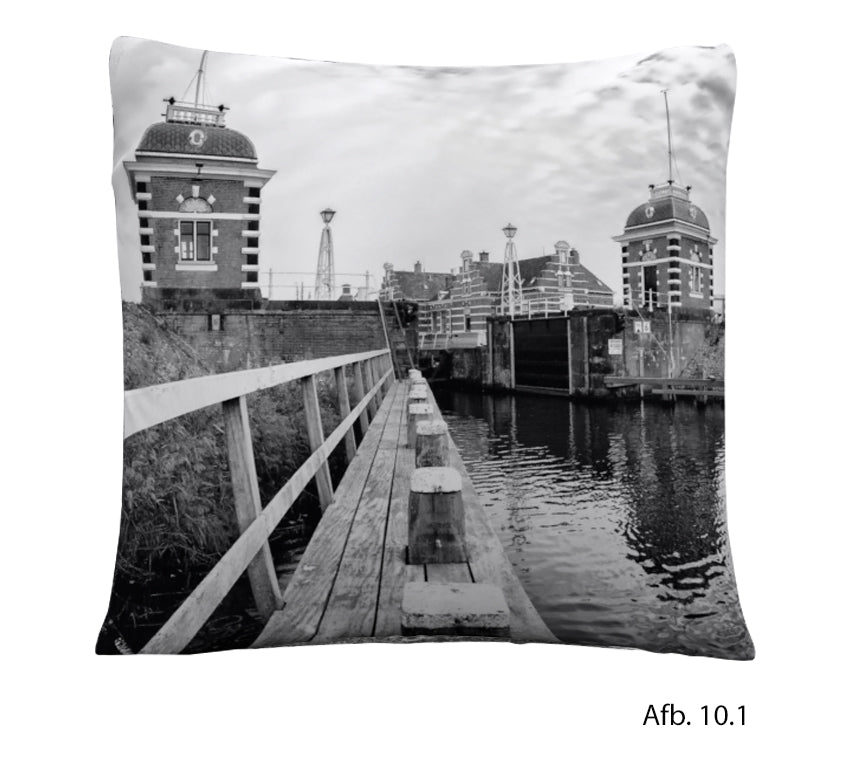 Decorative pillow Lemmer | Choose from several images