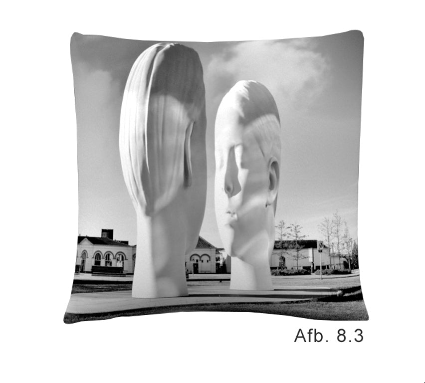 Throw Pillow Leeuwarden | Choose from several images